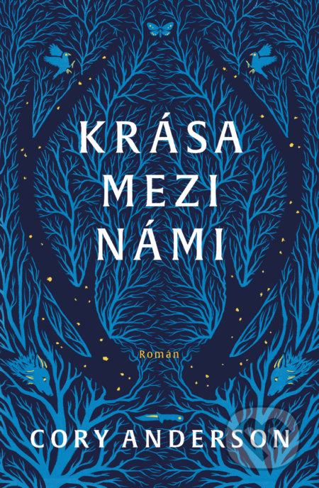 Kniha: Krása mezi námi (Cory Anderson)