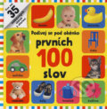 Kniha: Prvních 100 slov (Svojtka&Co.)